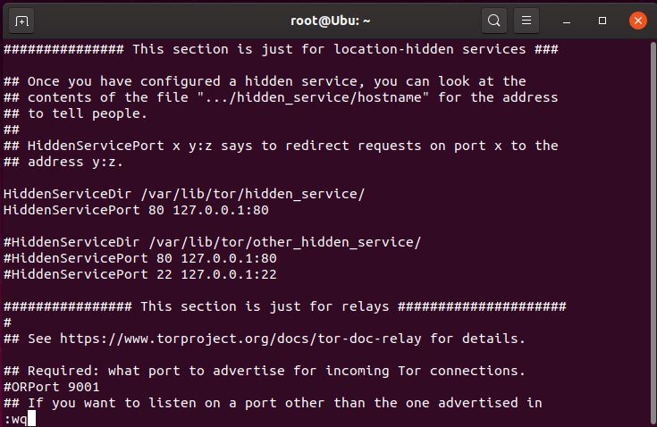 vi command line showing :wq to write and quit