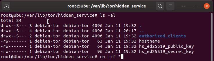 Empty hidden_service directory after removing the old keys