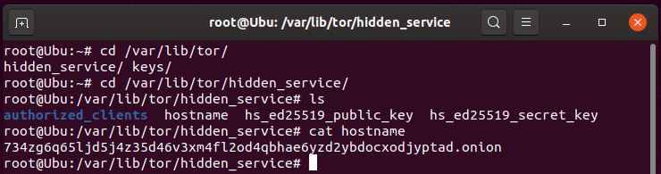 cat hostname showing the default generated .onion address