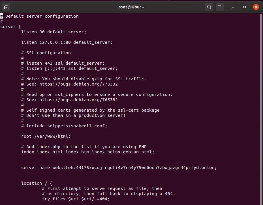NGINX default site with listen 127.0.0.1:80 and an onion server_name