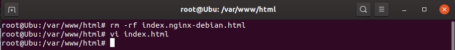 Empty /var/www/html after deleting the default index files