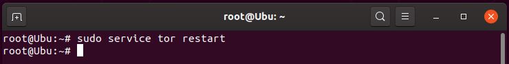 sudo service tor restart completing with no error
