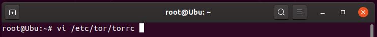 Opening /etc/tor/torrc in vi